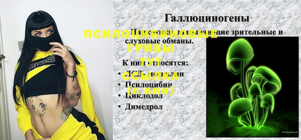 метадон Алексин